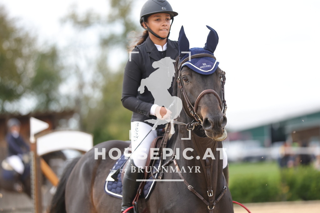 0P6A9415 | Willkommen bei Brunnmayr - Design & Fotografie – Ihrem Spezialisten für Reitturniere und Pferdeveranstaltungen in Oberösterreich, Salzburg und Bayern! Seit über 17 Jahren sind wir leidenschaftlich dabei.