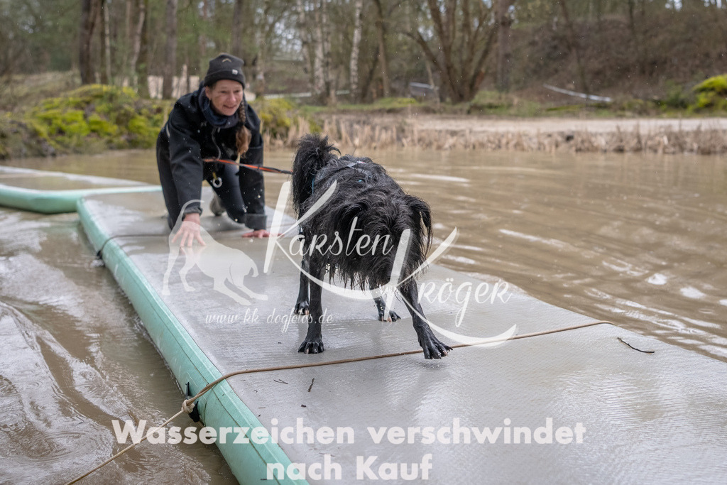 0935_ZZ90852-Bearbeitet | kk-dogfotos