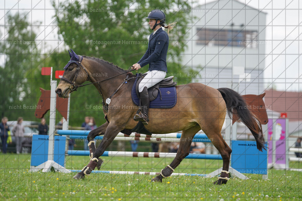 20240509-FAH02612 | Turnierbilder der Turnierfotografen Bayern, Pferdesport Fotografie, Reitsportbilder, Turnier Landberg am Lech, Turnierbilder bayern, Fotoagentur Herrmann