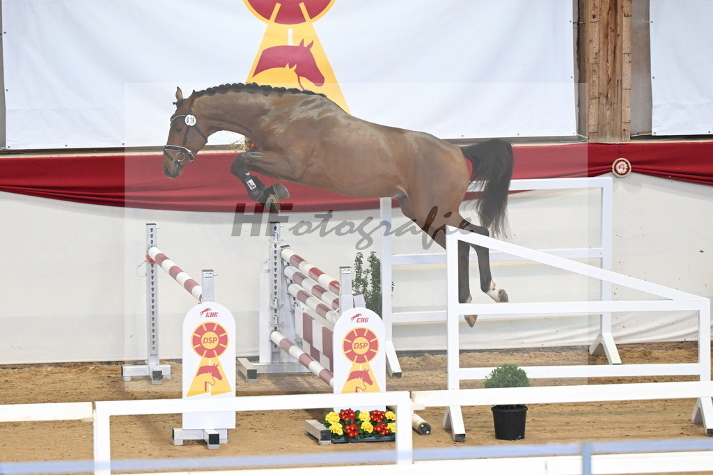Kat.-Nr. 16 v. Denzel van het Meulenhof_Schulze Averdiek_3261594 | hf-fotografie - Realizzato con Pictrs.com