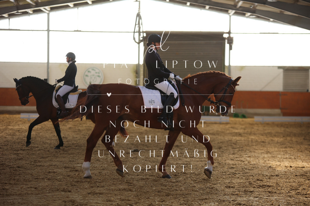 IMGT6387 | pl-fotografie