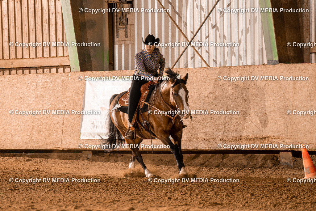 BA301130 | dv-media-shop - Realisiert mit Pictrs.com