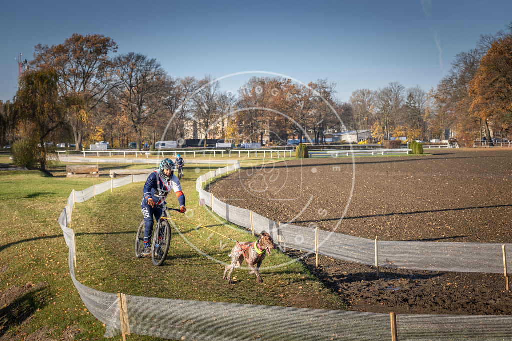 CaniXpix_DV3A1965 | Hundefotografie, Tierfotograf, Pfotenfotografie, Fotoshooting Hund, Hunde Portrait, Hundesport, Hundeportraits, Heideshooting, Hunde, Sportfotograf, Hundefotograf, Turnierhundsport, THS,  - Realisiert mit Pictrs.com