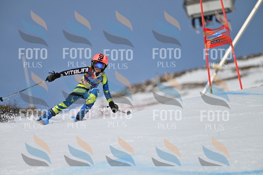 BGV_7274 | holidayphoto