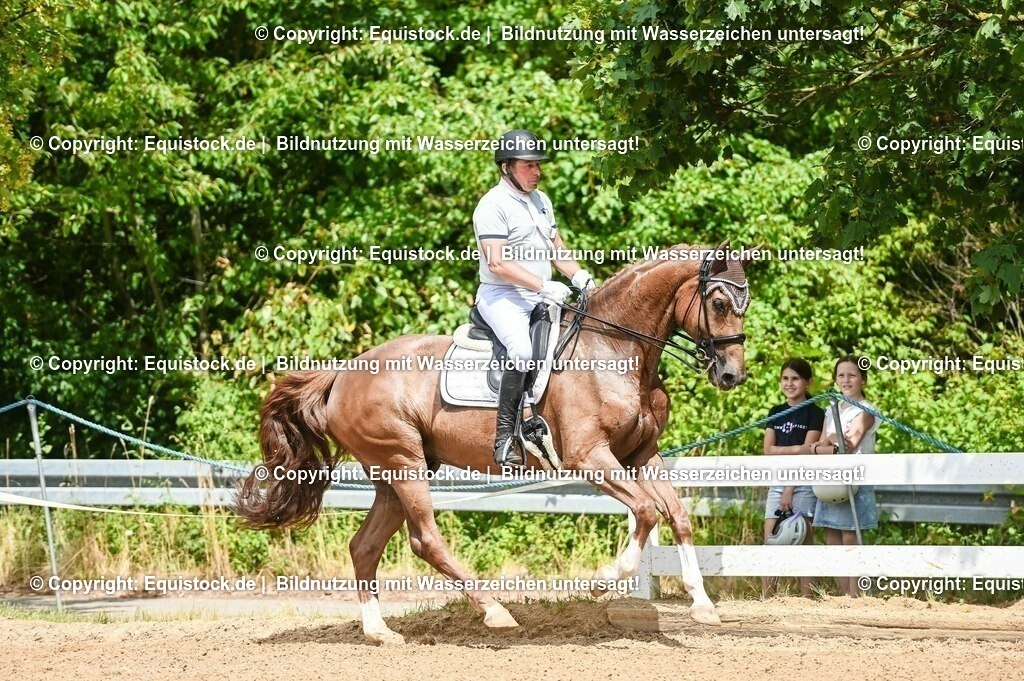 20230716_01_Dressurprüfung Kl.M_0076 | equistock