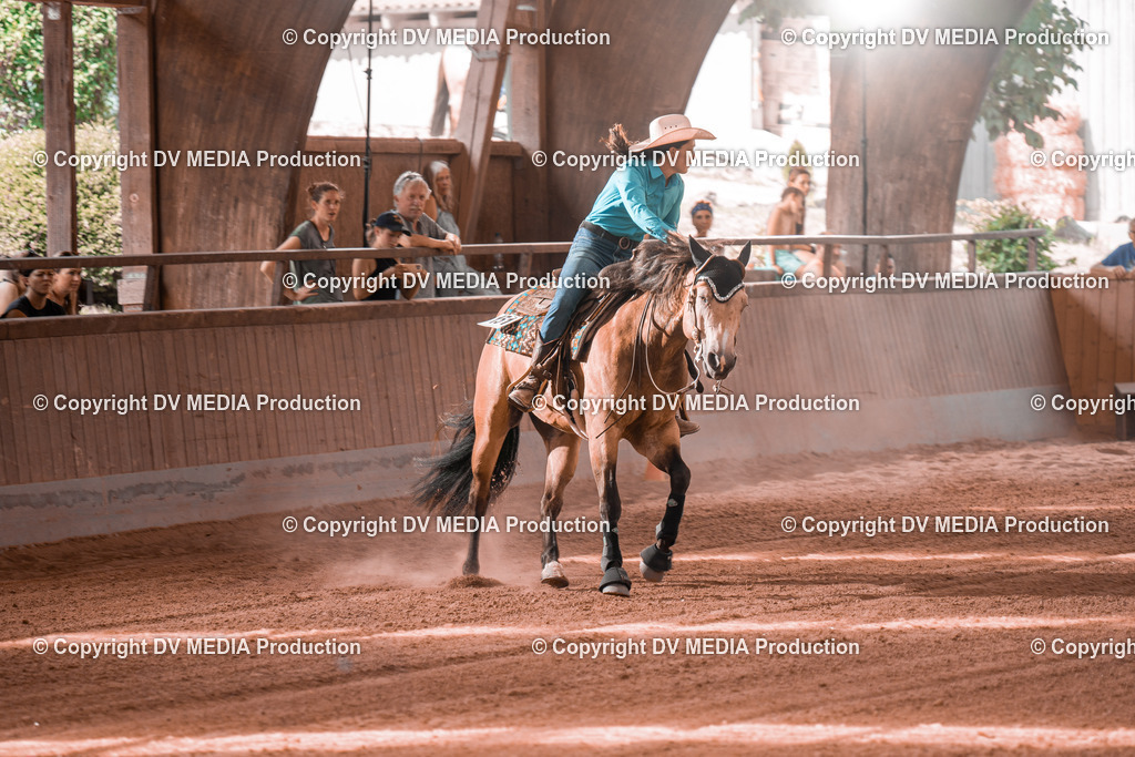 NE300675 | dv-media-shop - Realisiert mit Pictrs.com