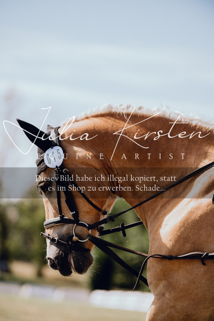 DSC_7017 | Pferde- und Turnierfotografie in Westsachsen. Pferdeportraits, Auftragszeichnungen und intuitive Kunst.