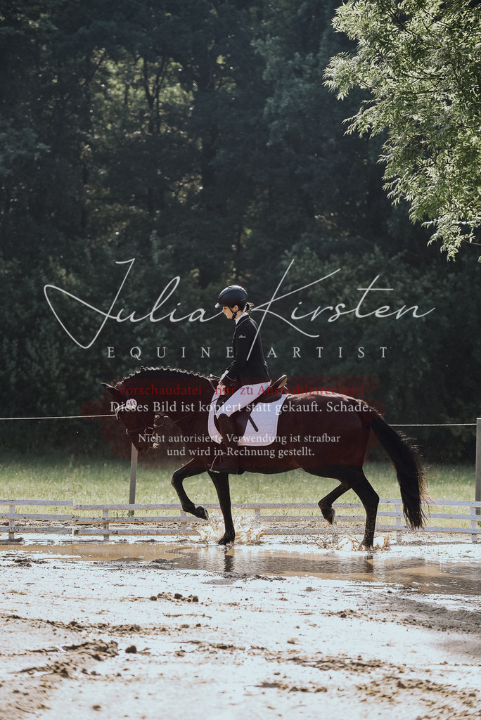 DSC_7804 | Pferde- und Turnierfotografie in Westsachsen. Pferdeportraits, Auftragszeichnungen und intuitive Kunst.