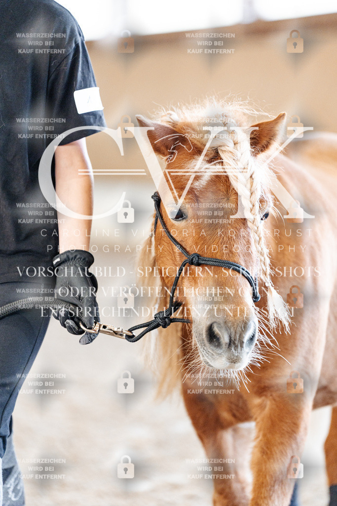 CK905271 | Turnierfotografie Pferdefotografie Trier Rheinland-Pfalz Pferdesport Reitsport Tierfotografie Sportfotografie Pferdevideo Pferdevideografie Equestrianvideography equestrianphotography  - Realisiert mit Pictrs.com