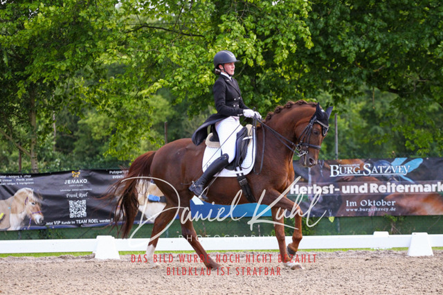 DKP41431 | Deine Turnierfotos vom Reitturnier online kaufen: Dressur, Springen & Siegerehrung. Professionelle Pferdefotografie aus dem Rheinland – als Download & Print.Alternative: Turnierfotograf für den Pferdesport: Finde deine Fotos von Dressur- und Springturnier