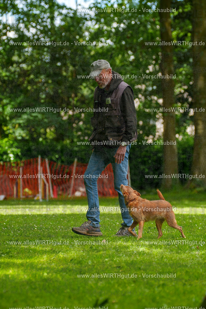 @allesWIRTHgut_Tierfotografie - www.allesWIRTHgut.de - 121529-7R508736 | Professionelle Tierfotografie in Mönchengladbach von Daniel Wirth (allesWIRTHgut). Liebevolle & natürliche Bilder von Hunden & Katzen für unvergessliche Erinnerungen.