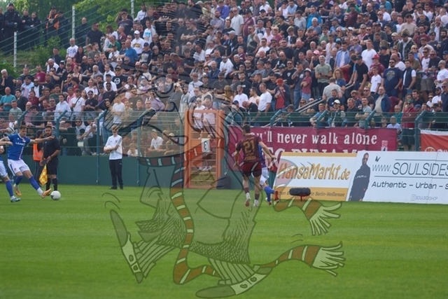 BFC Dynamo vs. FC Energie Cottbus 010 | mythos-online-redaktion