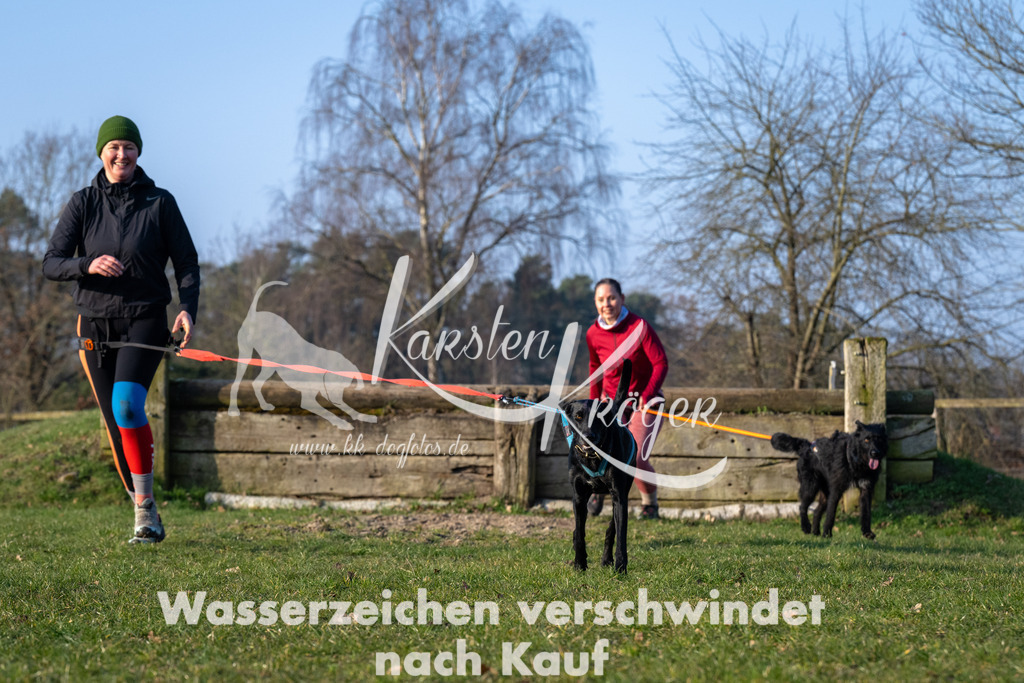 _ZZ91668 | kk-dogfotos