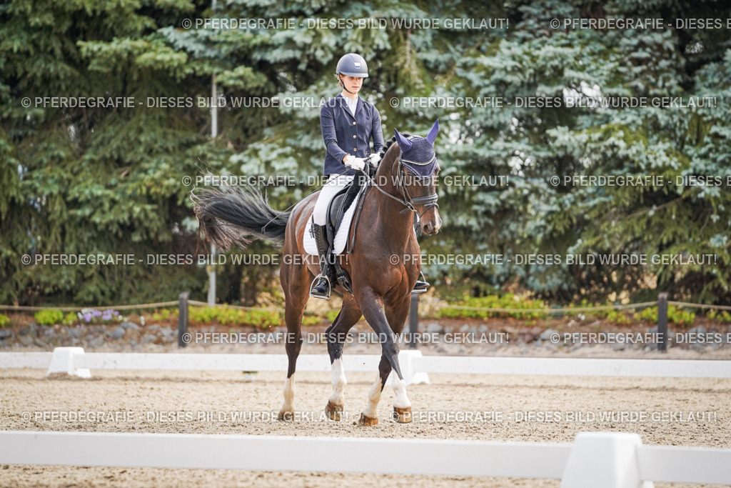 DSC01463 | Pferdegrafie