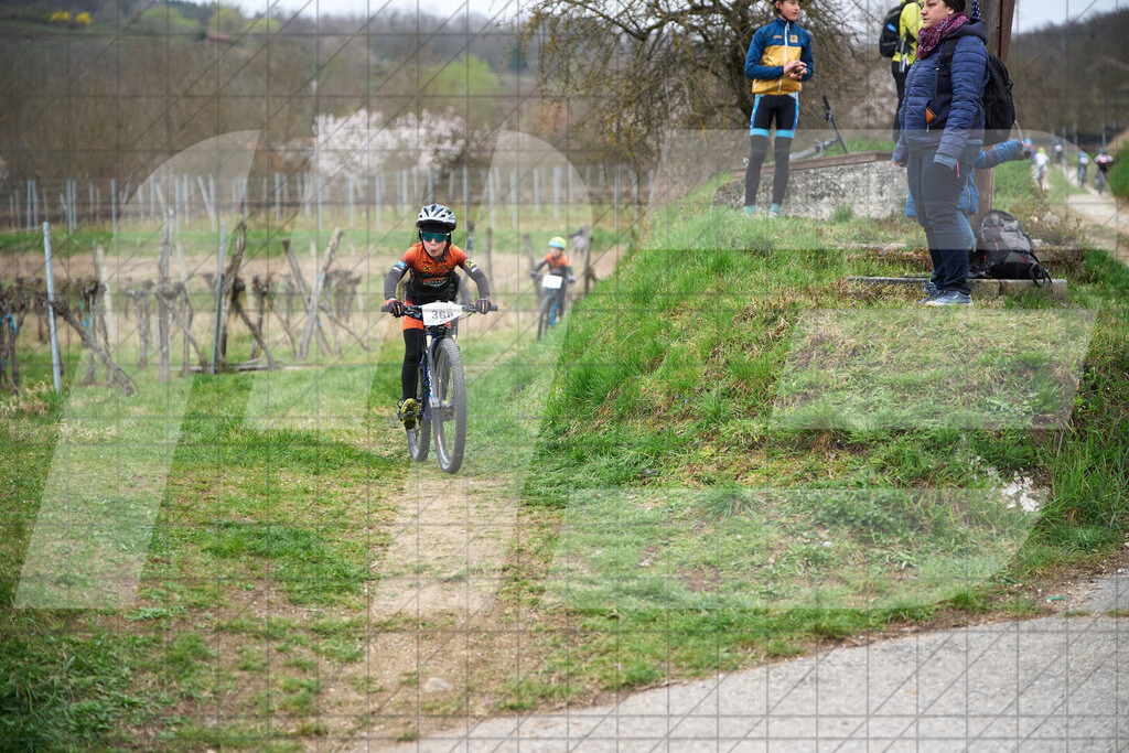 34. KTM Kamptal Trophy  | ZÖBING, Österreich – 2026-03-28: 34. KTM Kamptal TrophyFoto: © 2026 Martin Bihounek - MB Creative e.U.