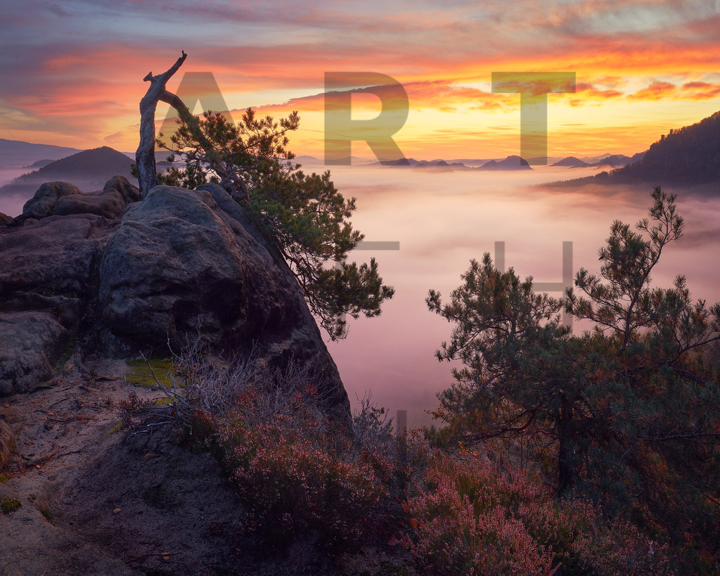 Ein Hans Fineart Original | Entdecke die Kunst von Hans Fineart - Fotografien für dein Zuhause. Verwandle deine Wände mit einzigartigen Kunstwerken und bringe die Schönheit der Welt in dein Leben. Bestelle jetzt und schaffe einen Ort der Inspiration und Eleganz.