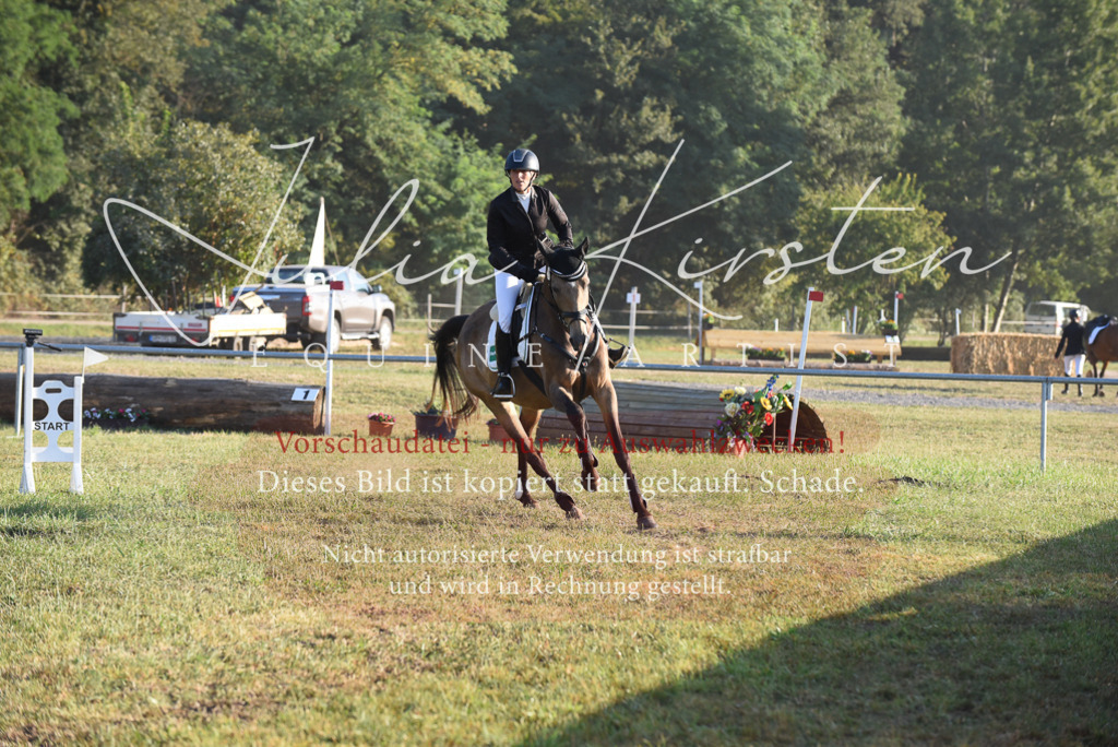 DSC_4833 | Pferde- und Turnierfotografie in Westsachsen. Pferdeportraits, Auftragszeichnungen und intuitive Kunst.