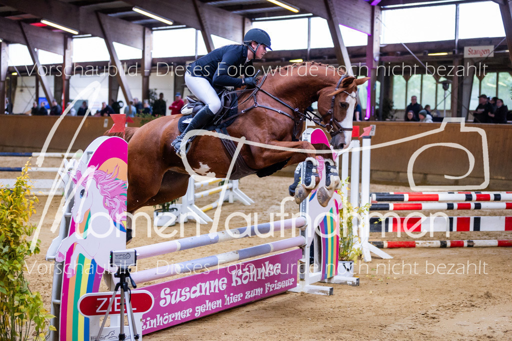 Sth-A-Springen-081 | MomenTaufnahmen Pferdesportfotos