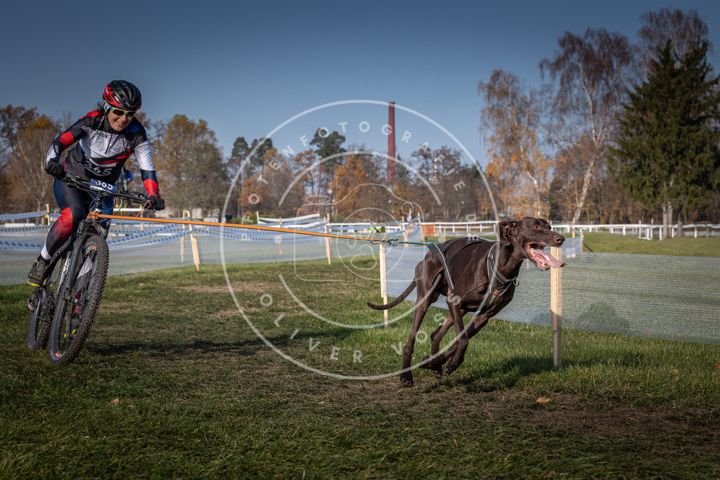 CaniXpix_0L8A7731 | Hundefotografie, Tierfotograf, Pfotenfotografie, Fotoshooting Hund, Hunde Portrait, Hundesport, Hundeportraits, Heideshooting, Hunde, Sportfotograf, Hundefotograf, Turnierhundsport, THS,  - Realisiert mit Pictrs.com