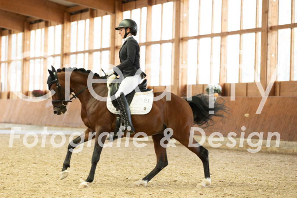 IMG_5977 | Creatify Fotografie