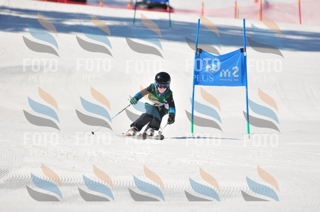 C2843 | holidayphoto