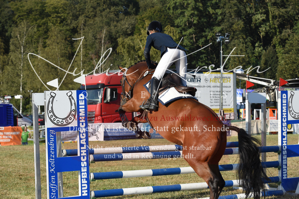 DSC_5013 | Pferde- und Turnierfotografie in Westsachsen. Pferdeportraits, Auftragszeichnungen und intuitive Kunst.