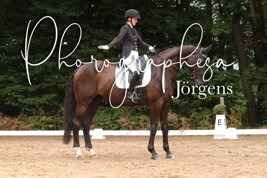 IMG_9794 | photographesa-joergens - Realisiert mit Pictrs.com