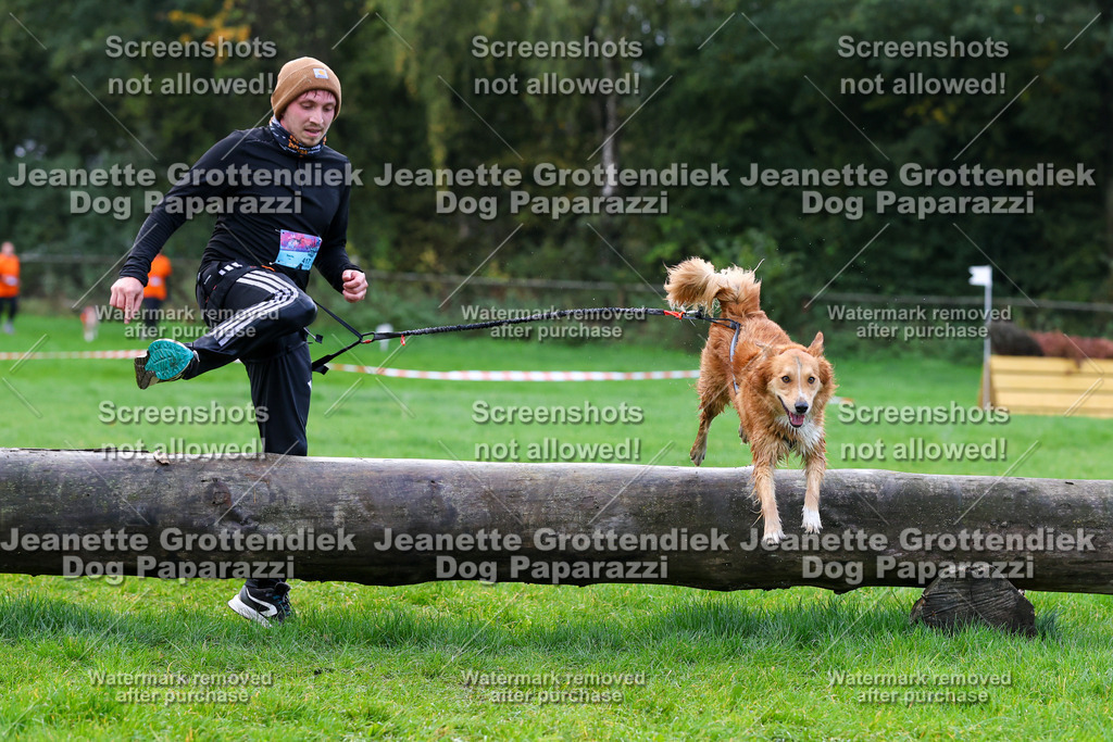 Dog Paparazzi -  SD1026-1184 | Dog Paparazzi Jeanette Grottendiek Fotografie & Videografie - Realisiert mit Pictrs.com