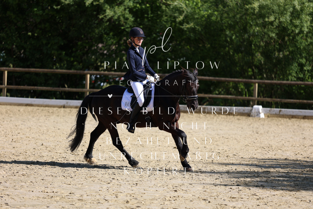 IMGT9991 | pl-fotografie