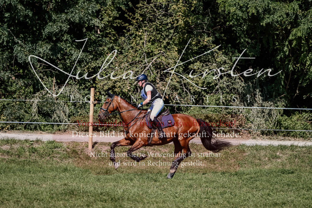 DSC_1984 | Pferde- und Turnierfotografie in Westsachsen. Pferdeportraits, Auftragszeichnungen und intuitive Kunst.