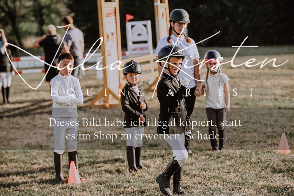 DSC_0236 | Pferde- und Turnierfotografie in Westsachsen. Pferdeportraits, Auftragszeichnungen und intuitive Kunst.