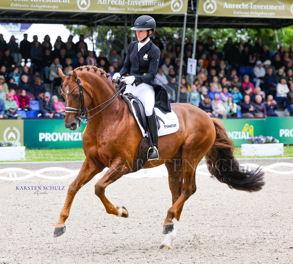 1B3A7645 | Reitsport Reiten