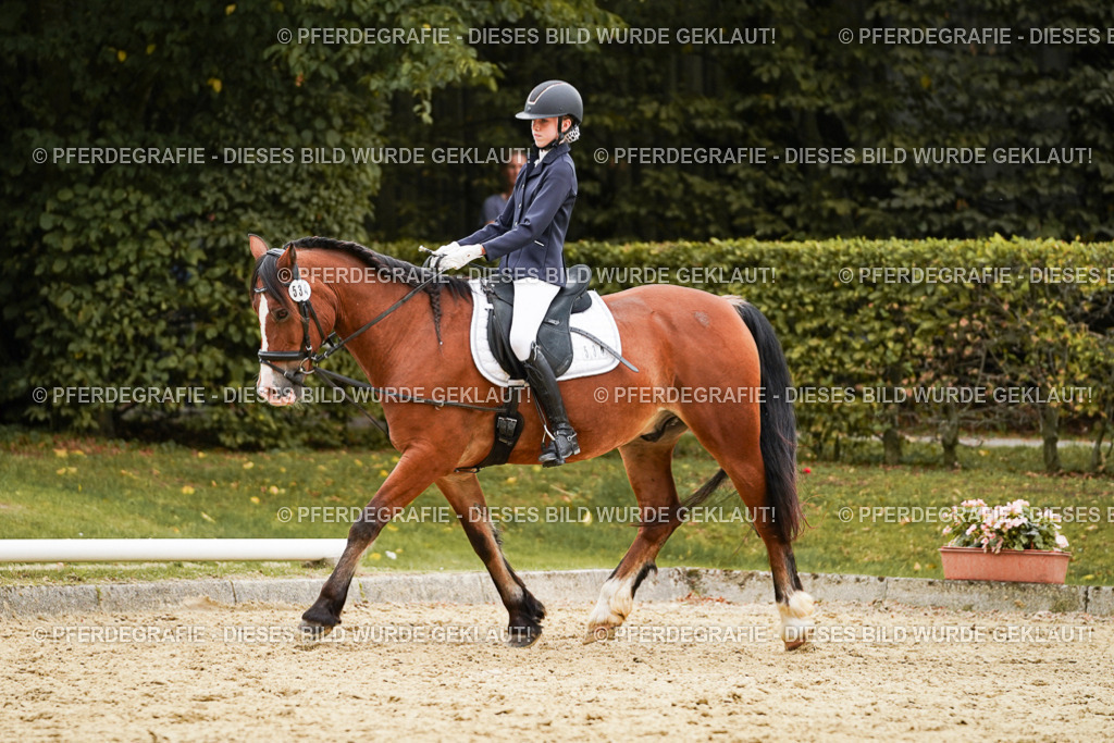 DSC00115 | Pferdegrafie