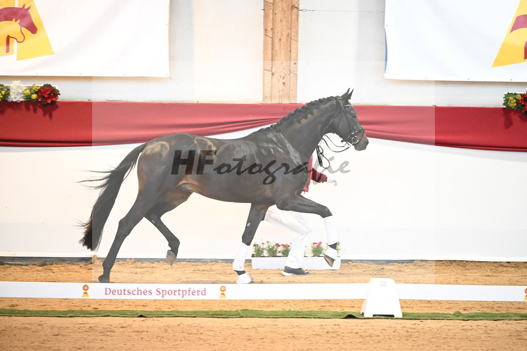 Kat-Nr. 47 So Perfect x Quaterback_Wadenspanner_43231482 | hf-fotografie - Realisiert mit Pictrs.com