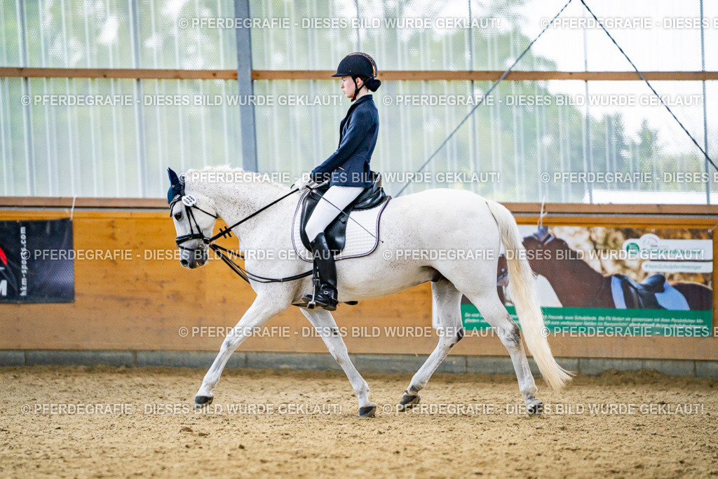 DSC04848 | Pferdegrafie