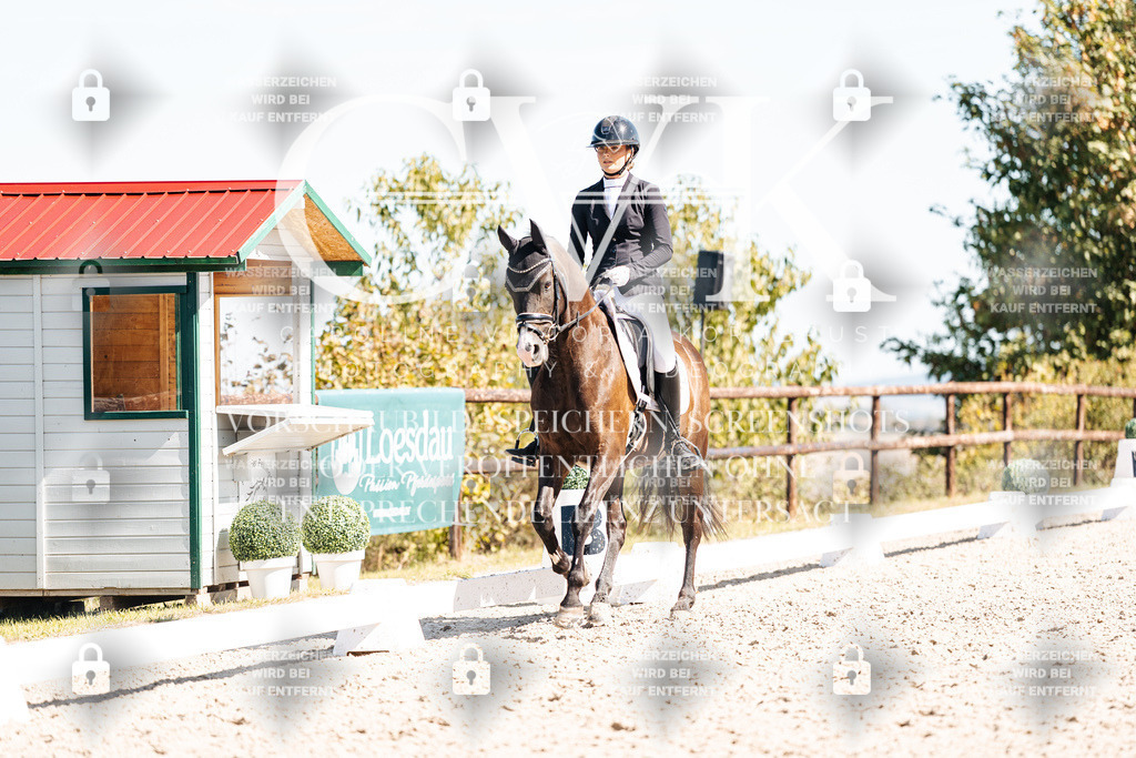 CK909485 | Turnierfotografie Pferdefotografie Trier Rheinland-Pfalz Pferdesport Reitsport Tierfotografie Sportfotografie Pferdevideo Pferdevideografie Equestrianvideography equestrianphotography  - Realisiert mit Pictrs.com