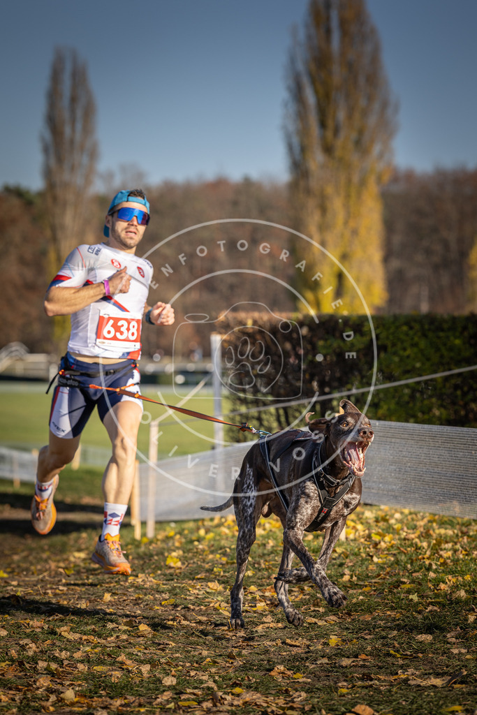 CaniXpix_DV3A0274 | Hundefotografie, Tierfotograf, Pfotenfotografie, Fotoshooting Hund, Hunde Portrait, Hundesport, Hundeportraits, Heideshooting, Hunde, Sportfotograf, Hundefotograf, Turnierhundsport, THS,  - Realisiert mit Pictrs.com