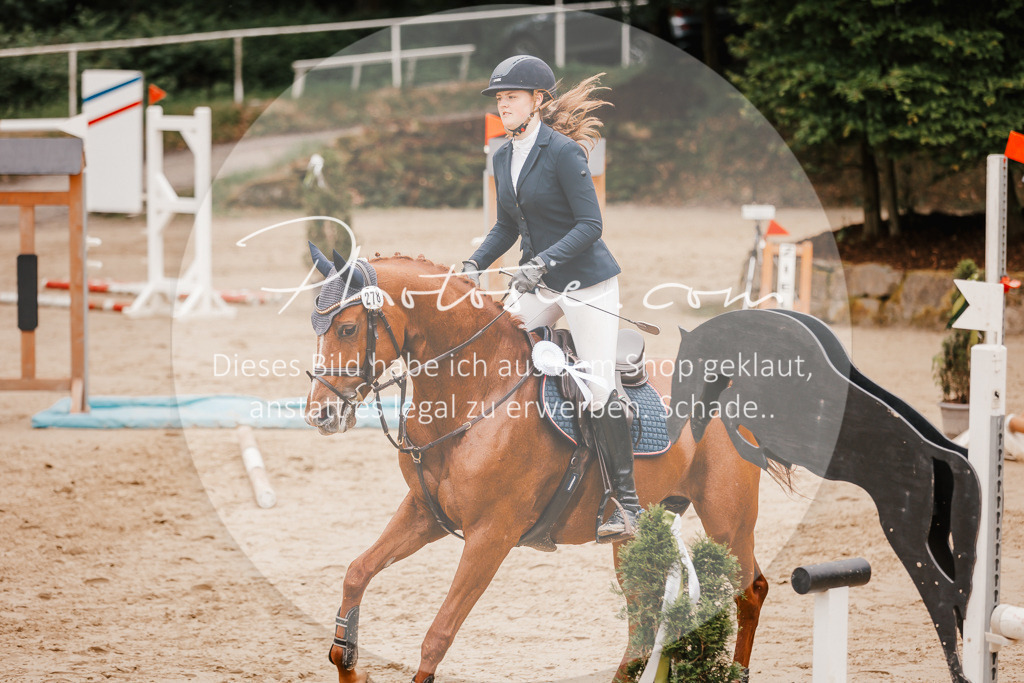 3I6A2290 | Stimmungsvolle Portraits und Reitsportfotografie im Ruhrgebiet und im Münsterland.

Pferdefotografie, Hundefotografie, Tierfotografie, Reportagen, Portraits von Tier und Mensch, Turnierfotografie in Bochum, Recklinghausen, Marl, Haltern am See, Dülmen.. - Realisiert mit Pictrs.com