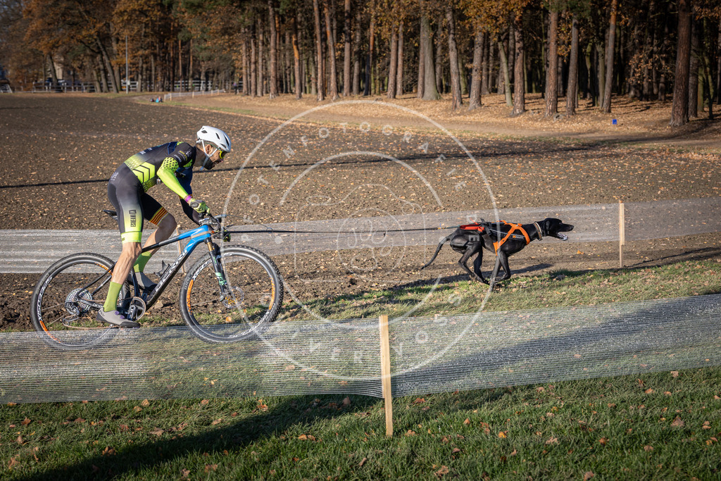 CaniXpix_DV3A2530 | Hundefotografie, Tierfotograf, Pfotenfotografie, Fotoshooting Hund, Hunde Portrait, Hundesport, Hundeportraits, Heideshooting, Hunde, Sportfotograf, Hundefotograf, Turnierhundsport, THS,  - Realisiert mit Pictrs.com