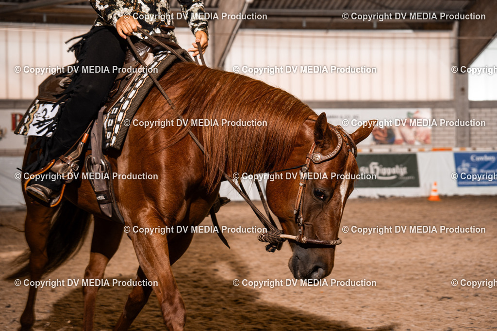 ZH100193 | dv-media-shop - Realisiert mit Pictrs.com