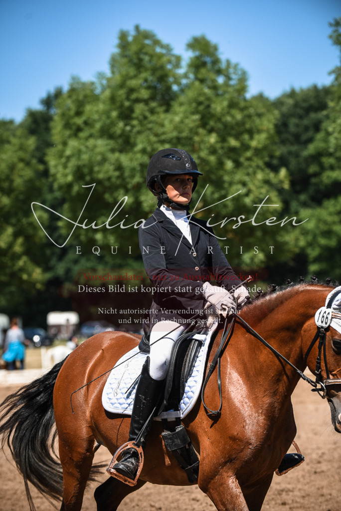 DSC_3151 | Pferde- und Turnierfotografie in Westsachsen. Pferdeportraits, Auftragszeichnungen und intuitive Kunst.
