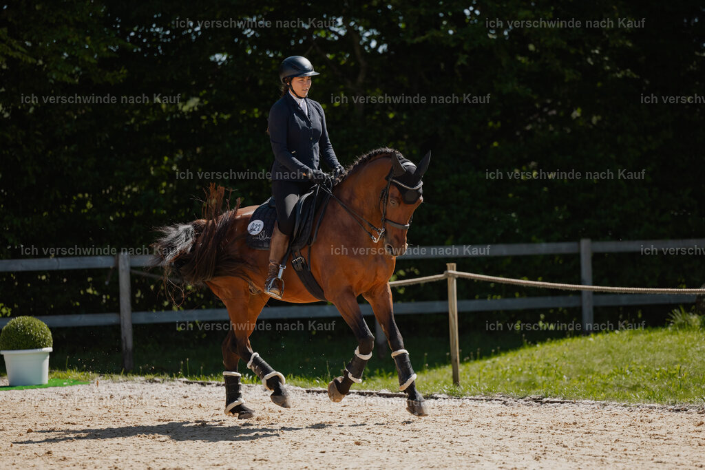 Nadine22_FHC2025-67 | working equitationturnier fotograf videograf stoibphotography marixx film working equitation deutschland reitsport turnierfotografie eventfotografie equestrian events