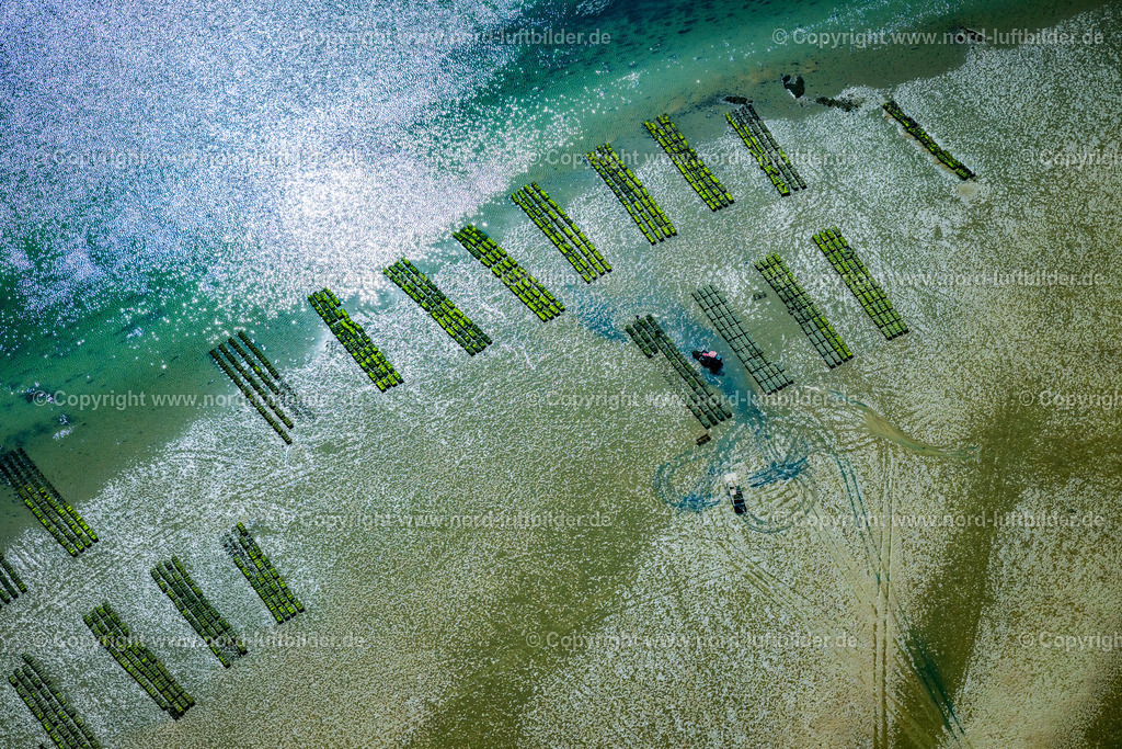 Sylt_List_Wattenmeer_Austernzucht_Sylter_Royal_Dittmeyers_Austernzucht_Companie_ELS_8846130825 | LIST 13.08.2025 Wattenmeer der Nordsee- Küste mit Austern-Zucht-Bänken "Sylter Royal" in List im Bundesland Schleswig-Holstein, Deutschland. Weiterführende Informationen bei: Dittmeyer's Austern-Compagnie GmbH. // Wadden Sea of the North Sea coast with oyster breeding banks "Sylter Royal" in List in the federal state of Schleswig-Holstein, Germany. Further information at: Dittmeyer's Austern-Compagnie GmbH. Foto: Martin Elsen