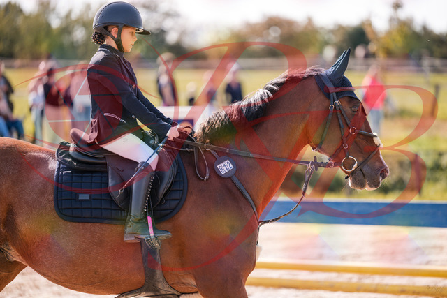 2026_10_03_Siefer-Hof_143844_Z81_09473024 | Professionelle Reitsport-, Turnier- und Eventfotografie von Robert Broda. Galerien mit ausgewählten und bearbeiteten Bildern direkt online ansehen und bestellen.