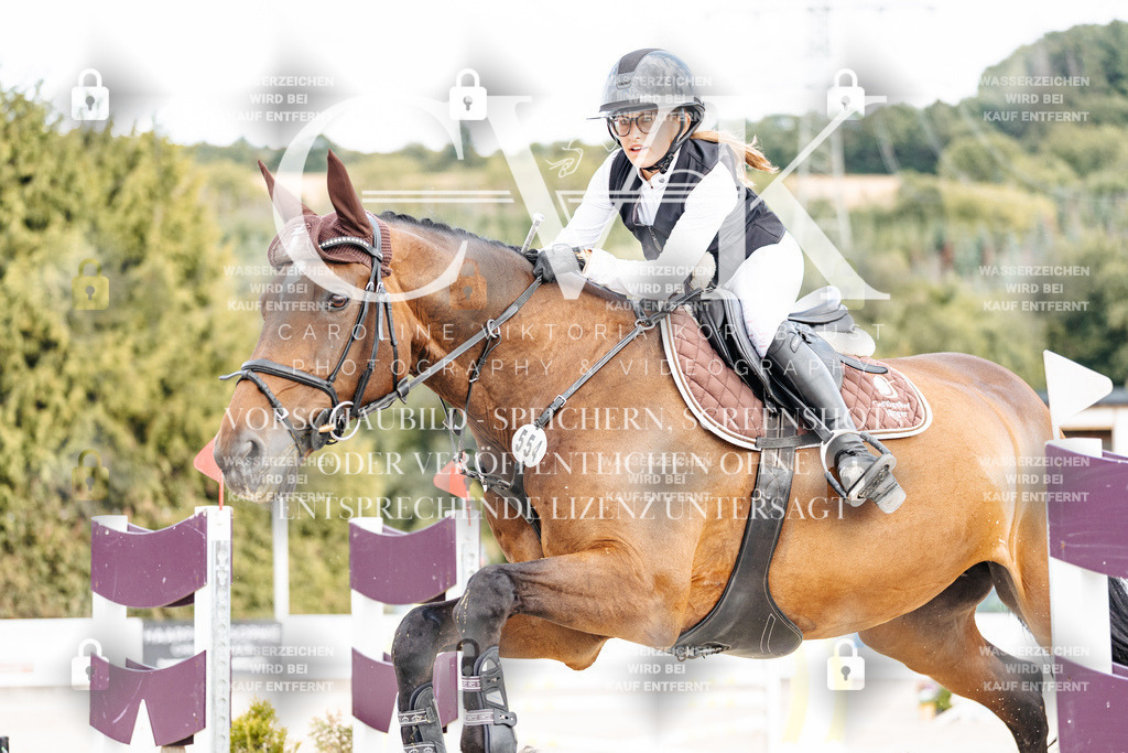 CK902379 | Turnierfotografie Pferdefotografie Trier Rheinland-Pfalz Pferdesport Reitsport Tierfotografie Sportfotografie Pferdevideo Pferdevideografie Equestrianvideography equestrianphotography  - Realisiert mit Pictrs.com