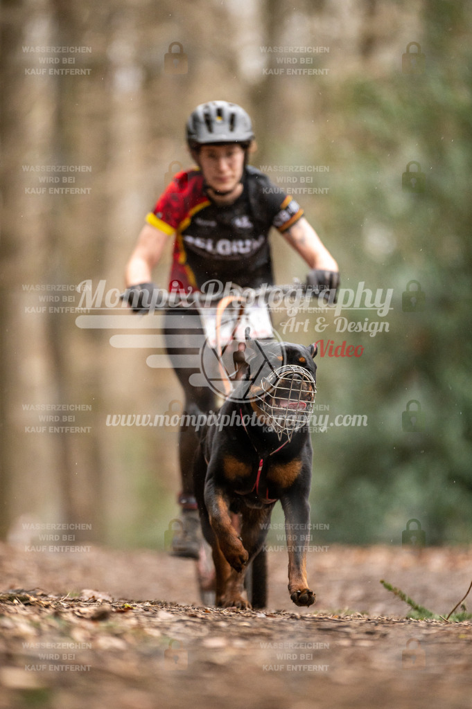 SPA_2023_DIM_Scooter-59 | PayLife