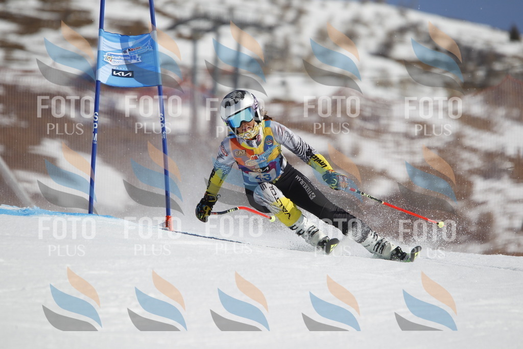 _U3G9264 | holidayphoto