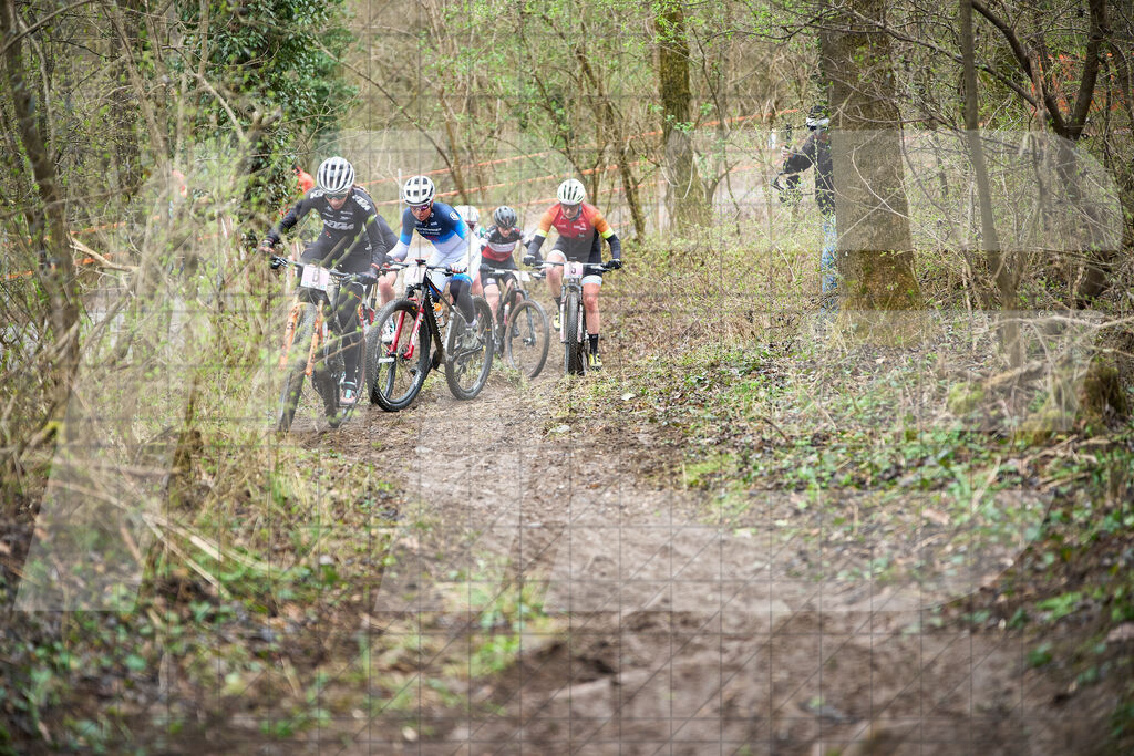 34. KTM Kamptal Trophy  | ZÖBING, Österreich – 2026-03-29: 34. KTM Kamptal TrophyFoto: © 2026 Martin Bihounek - MB Creative e.U.