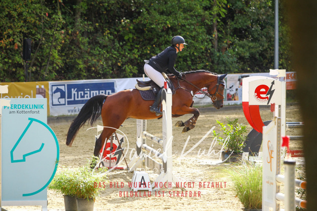 DKP40325 | Turniersportfotografie; Pferdefotografie; Dressurfotografie