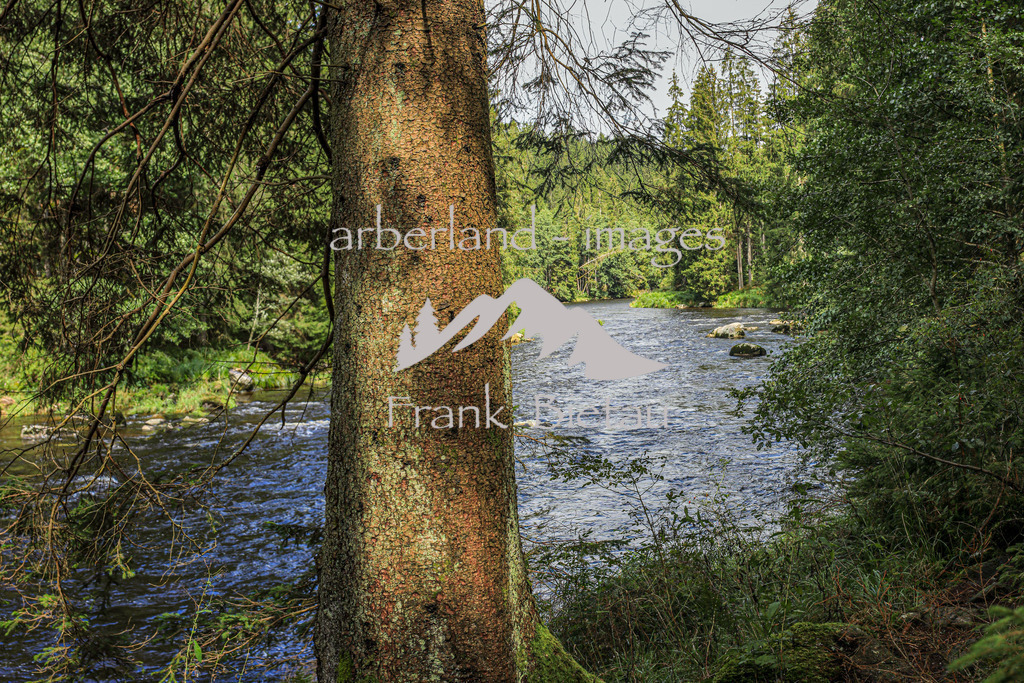 OE7A6741-Pano | die Flusslandschaft am Regen im Bayerischen Wald wird auch als Bayerisch Kanda bezeichnet
